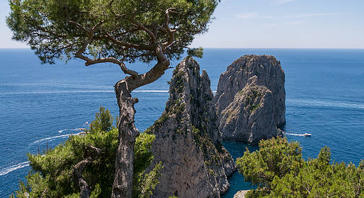 Ambiente e tutela del territorio