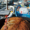 Marina Grande