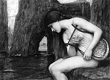 Verdiana mon amour