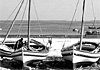 Gli agricoltori del mare delle isole Kerkennah