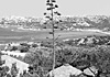 L'isola controcorrente