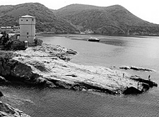 La spiaggia del Campese regina del Giglio