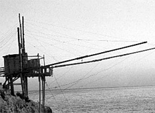Quei ragni sul mare del Gargano