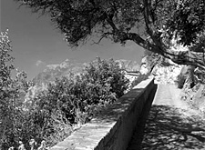 Gli alunni del sole nel mito di Capri