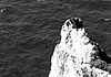Il sentiero degli aghi di pino