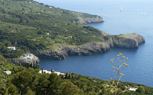 Villa Damecuta