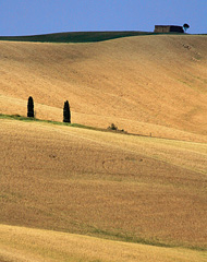 Crete Senesi