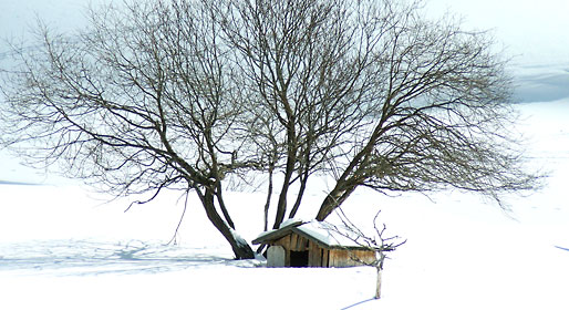 Winter in Val Pusteria