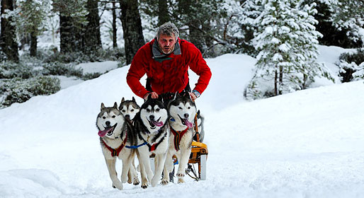 Sulla neve con gli husky