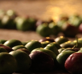 The Ways Oil and Olive of Gaeta. Hotel