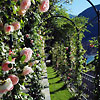 Relais Regina Teodolinda Laglio
