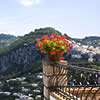 Aiano Bed & Breakfast Capri