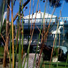 Mediterranea Luxury House Livorno