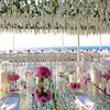 Sugokuii Luxury Events & Weddings Capri