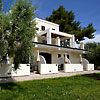 B&B Zia N�, Gargano - Puglia