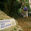Kaire Arte Capri Anacapri