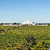 Furnirussi Tenuta Hotel Serrano di Carpignano Salentino