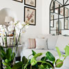Casa Buonocore Positano