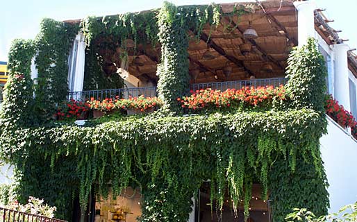 Columbus Restaurantes Anacapri