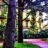 Grand Hotel & La Pace Montecatini Terme