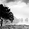 Italy Travel Capri hotel Prestige Edition International