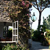 Villa Barkley Ischia